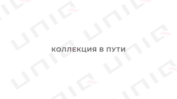 В пути